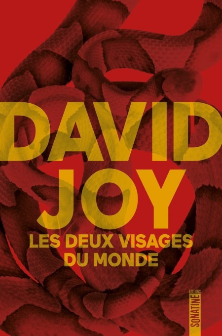 Les Deux Visages du monde