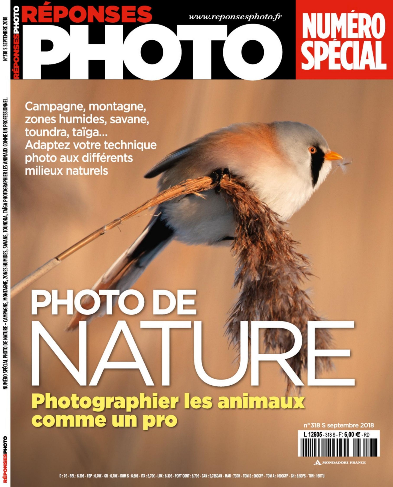 Reponses Photo (Septembre 2018)