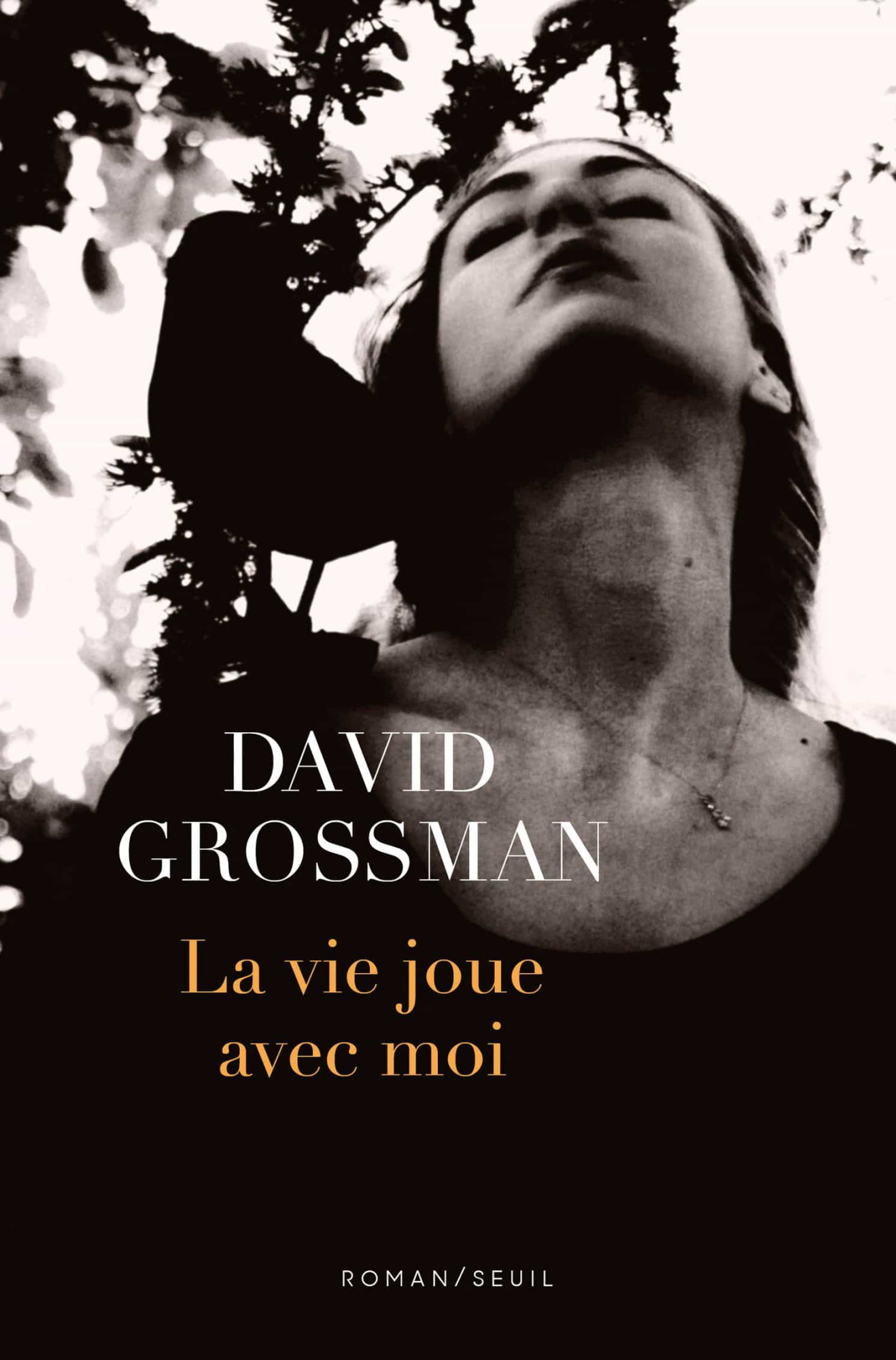 David Grossman