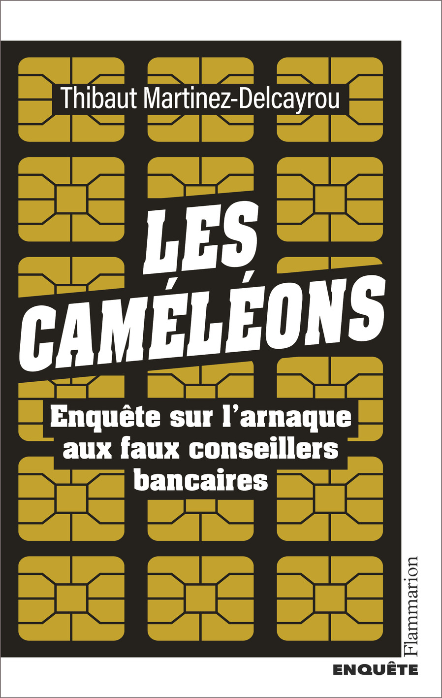 Les Caméléons : enquête sur l'arnaque aux faux conseillers bancaires