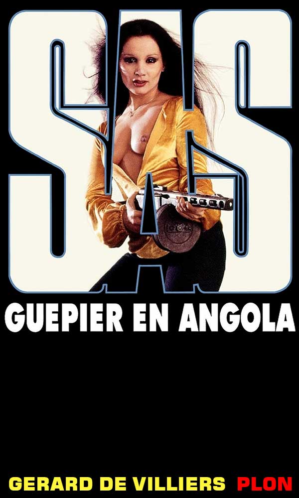 Guêpier en Angola