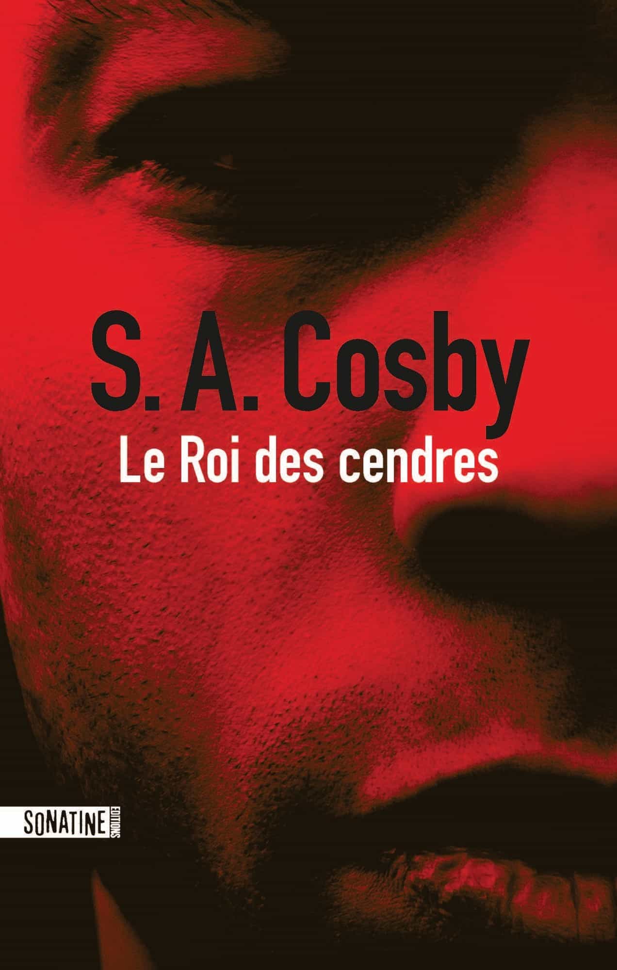 Le roi des cendres