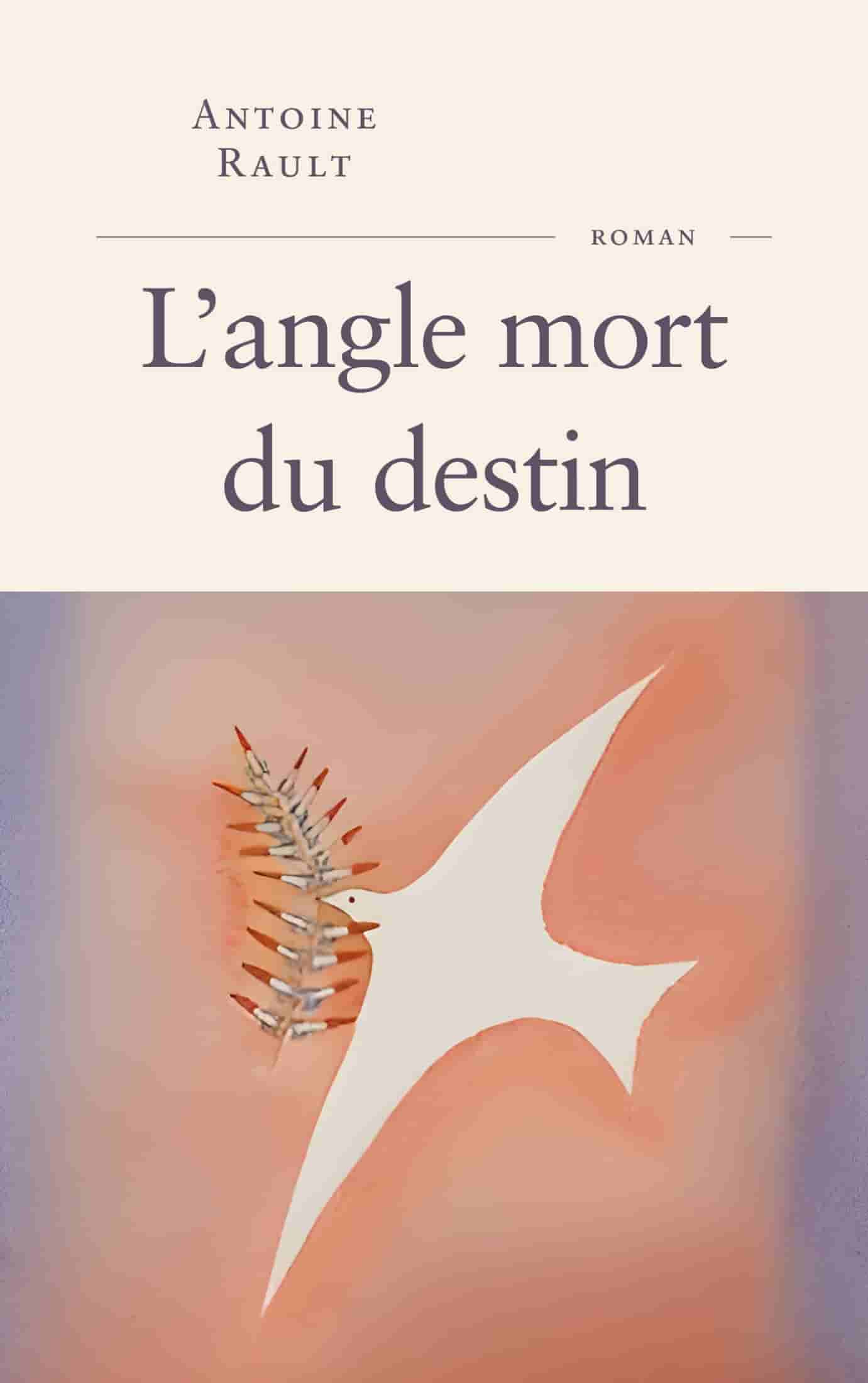 L'angle mort du destin